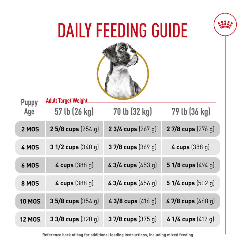 Royal Canin, Breed Health Nutrition Boxer Puppy - Dry Dog Food image number null