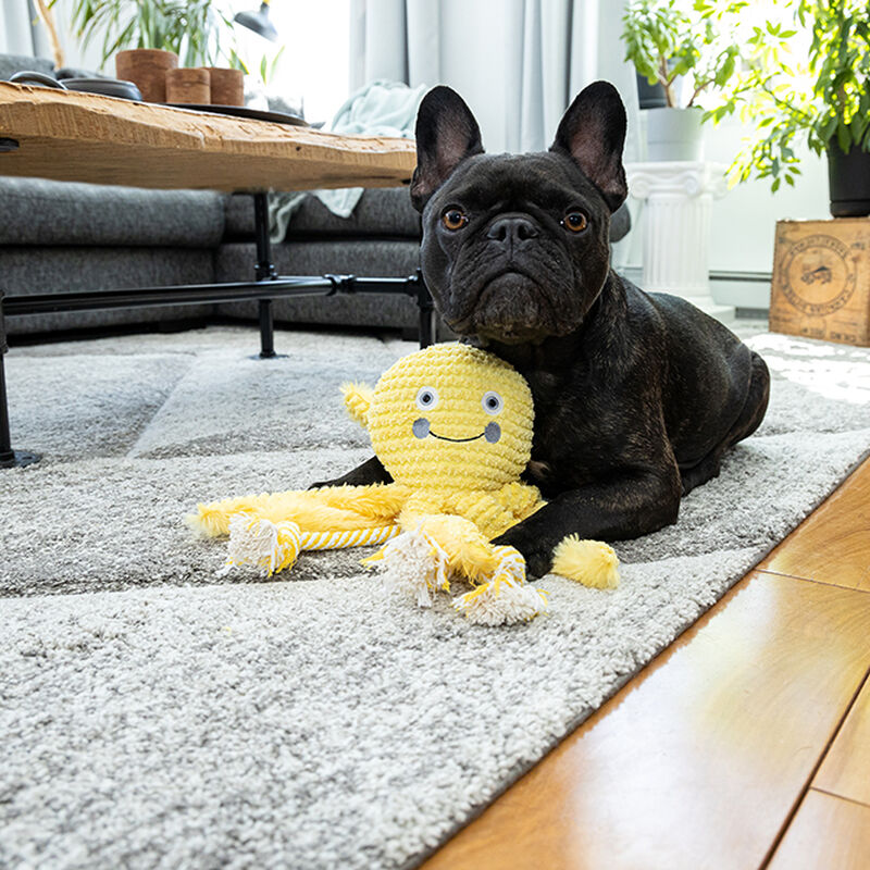 BeOneBreed, Plush Octopus Toy - Plush Dog Toy image number null