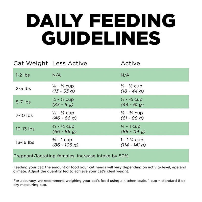 GO! SOLUTIONS, Feline Adult - LI Sensitivites GF Insect Recipe - Dry Cat Food image number null
