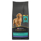 Pro Plan, Lamb & Rice - Dry Puppy Food image number null