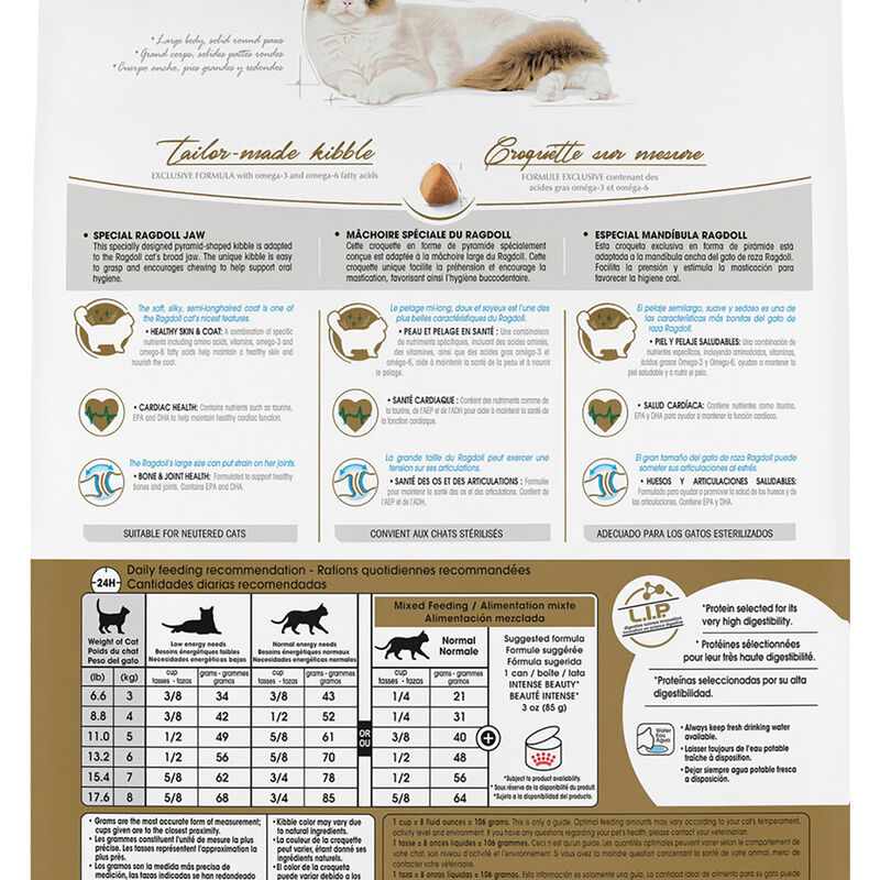 Royal Canin, Feline Breed Nutrition Ragdoll - Dry Cat Food image number null