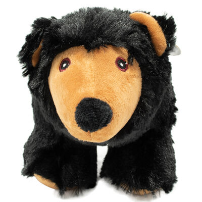Canada Paws, Black Bear - 9" - Plush Dog Toy