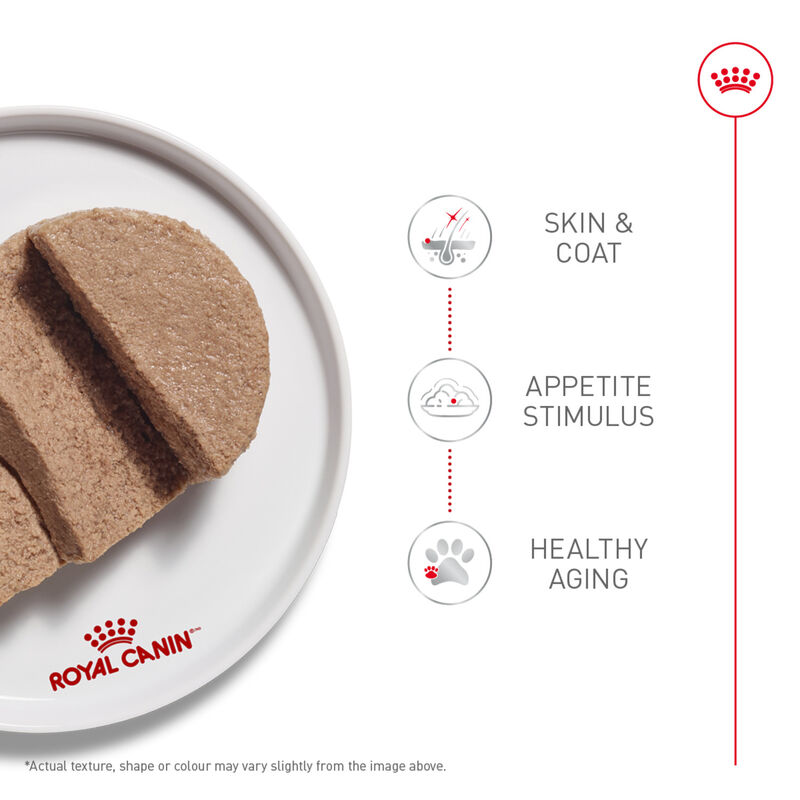 Royal Canin, Breed Health Nutrition Yorkshire Terrier Adult - Dry Dog Food image number null