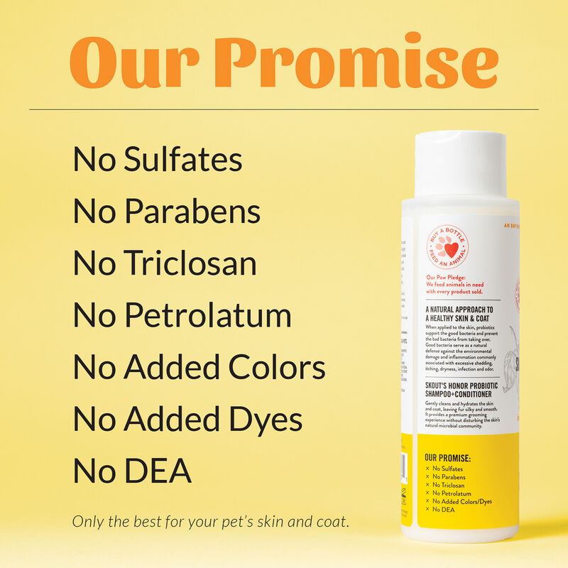 Skouts Honor, Probiotic ShampooPlusConditioner-Honeysuckle-16 oz image number null