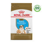 Royal Canin, Breed Health Nutrition Bulldog Puppy - Dry Dog Food image number null