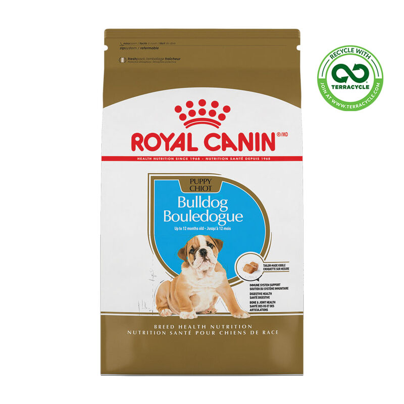 Royal Canin, Breed Health Nutrition Bulldog Puppy - Dry Dog Food image number null