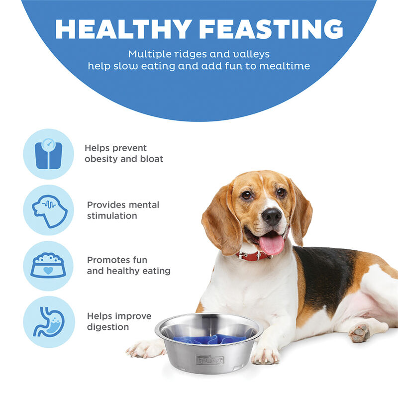 Outward Hound, Fun Feeder - Stainless Steel - Medium image number null