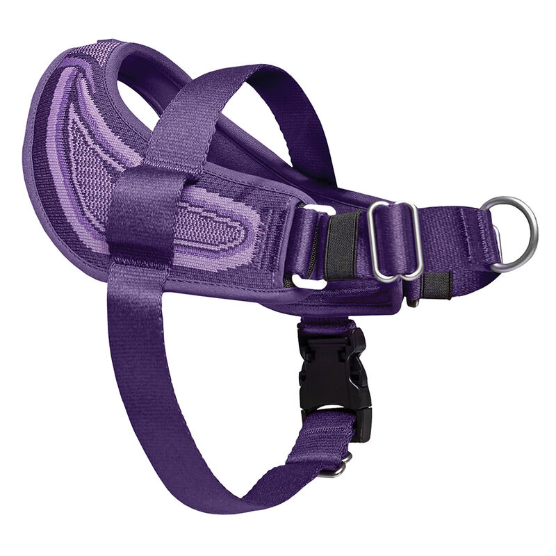 Canada Pooch, Re-Direct Harness - Purple/Lavender image number null