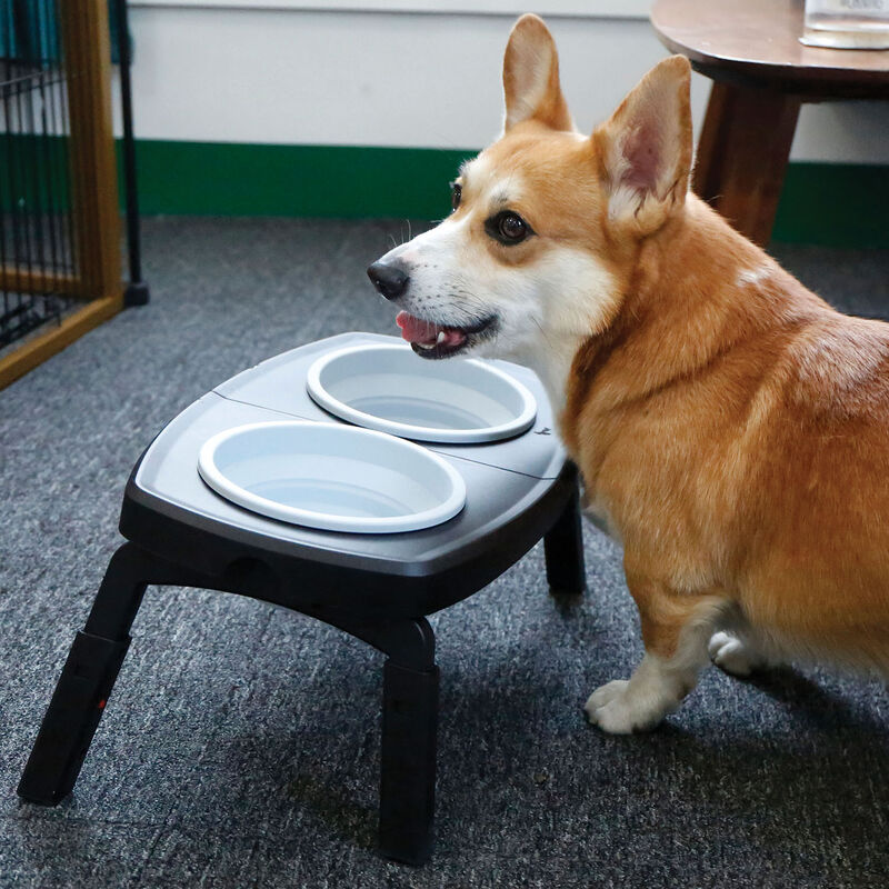 Trip to Go Portable Collapsible Dog Double Feeder image number null