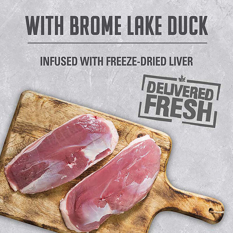 Can, Infusion Pate with Brome Lake Duck - 369 g image number null