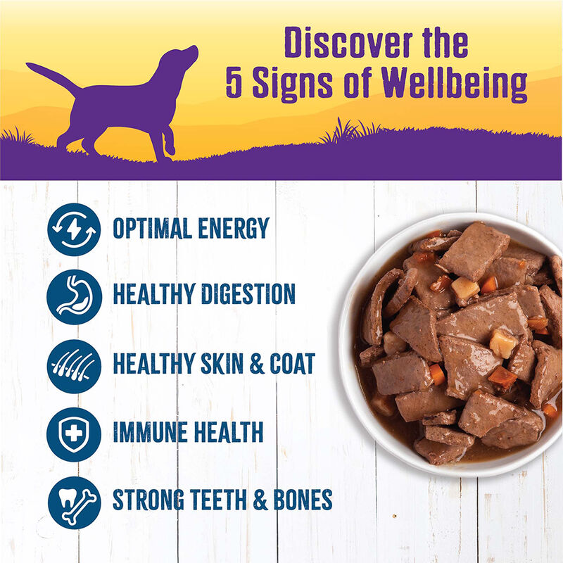 Wellness, Canned Dog Food, Chunks & Gravy, Venison & Salmon Stew with Carrots & Potatoes - 12.5 oz - image number null