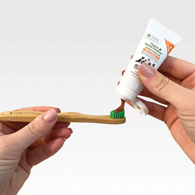 Pure and Natural Pet, Organic Dental Solutions Dental Kit - Small Brush image number null