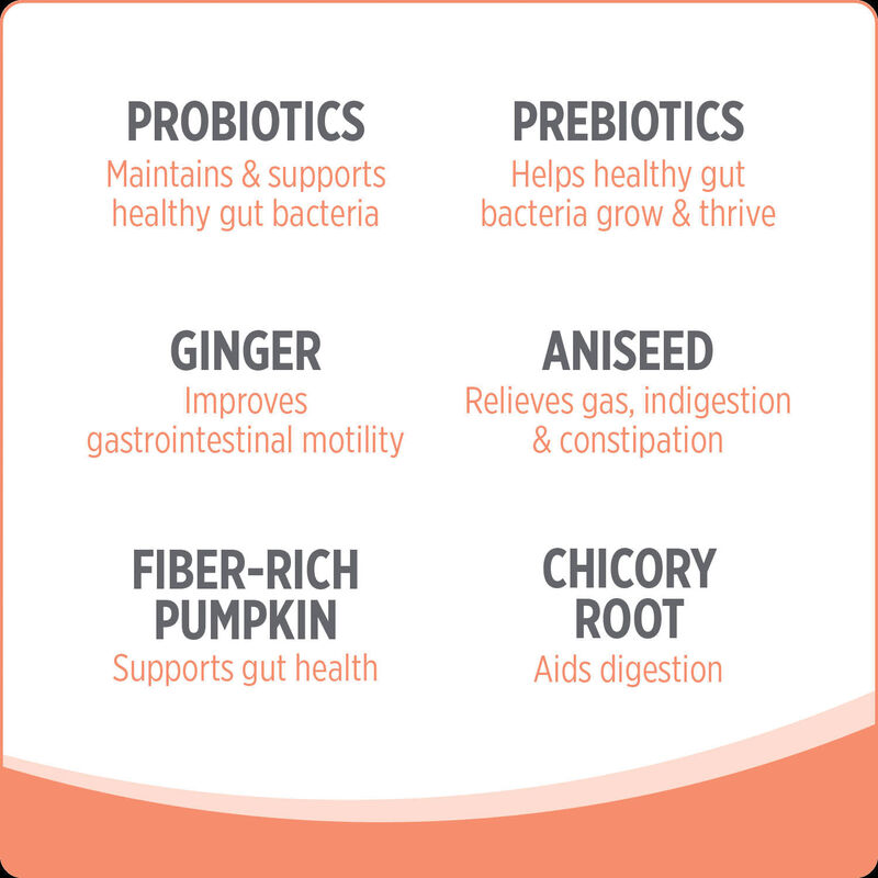 Nutrience, Probiotic+ Dog Supplement image number null