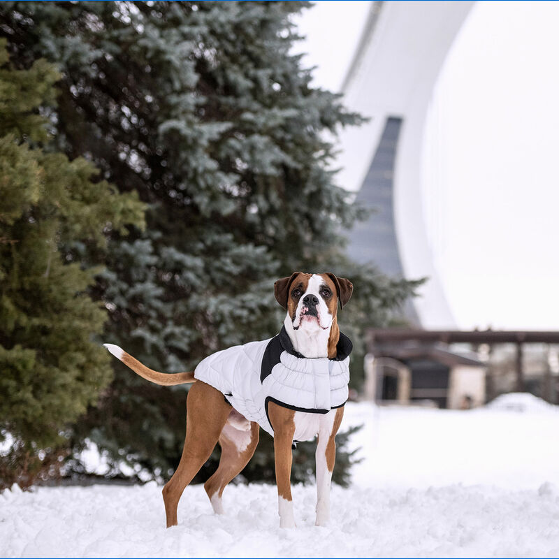 GF Pet, Diamond Puffer - Grey image number null