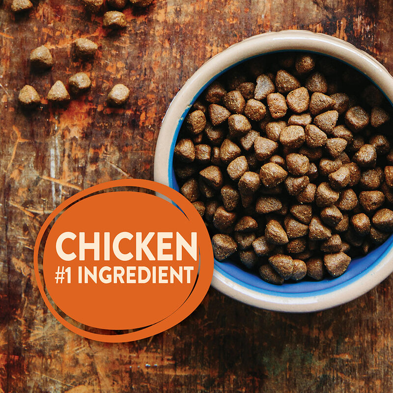 Wellness, Core, Grain Free Puppy - Dry Dog Food image number null