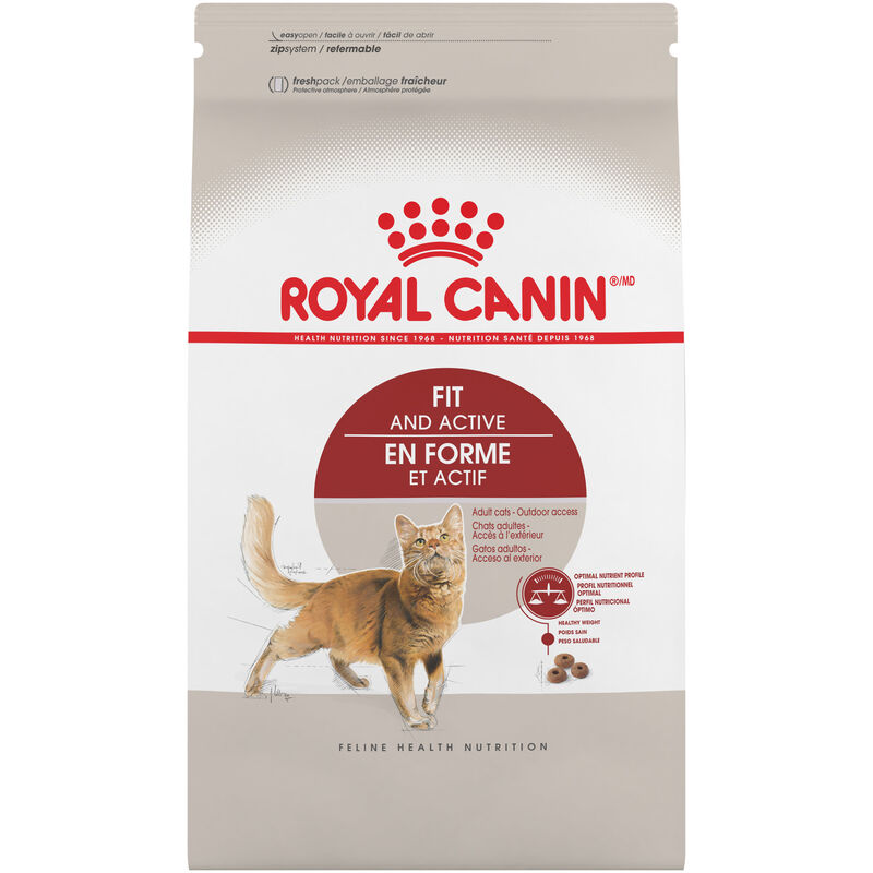 Royal Canin, Feline Health Nutrition Fit And Active Dry Adult - Dry Cat Food image number null