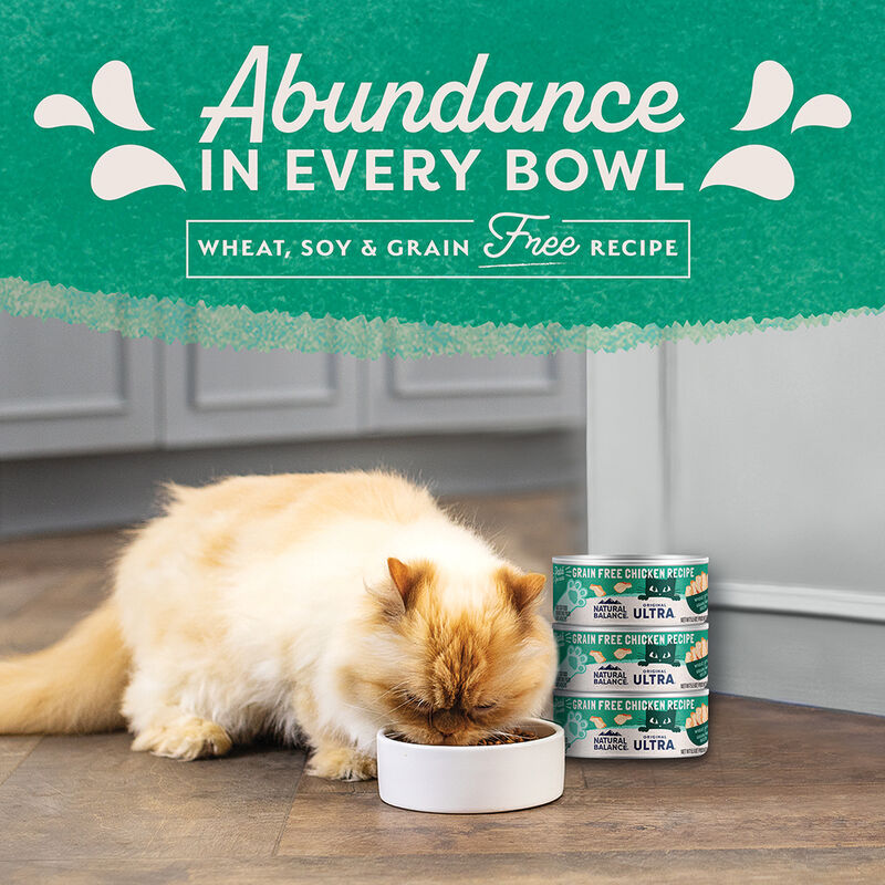 Can, Feline Adult - Ultra - GF Chicken - 156 g - Wet Cat Food image number null