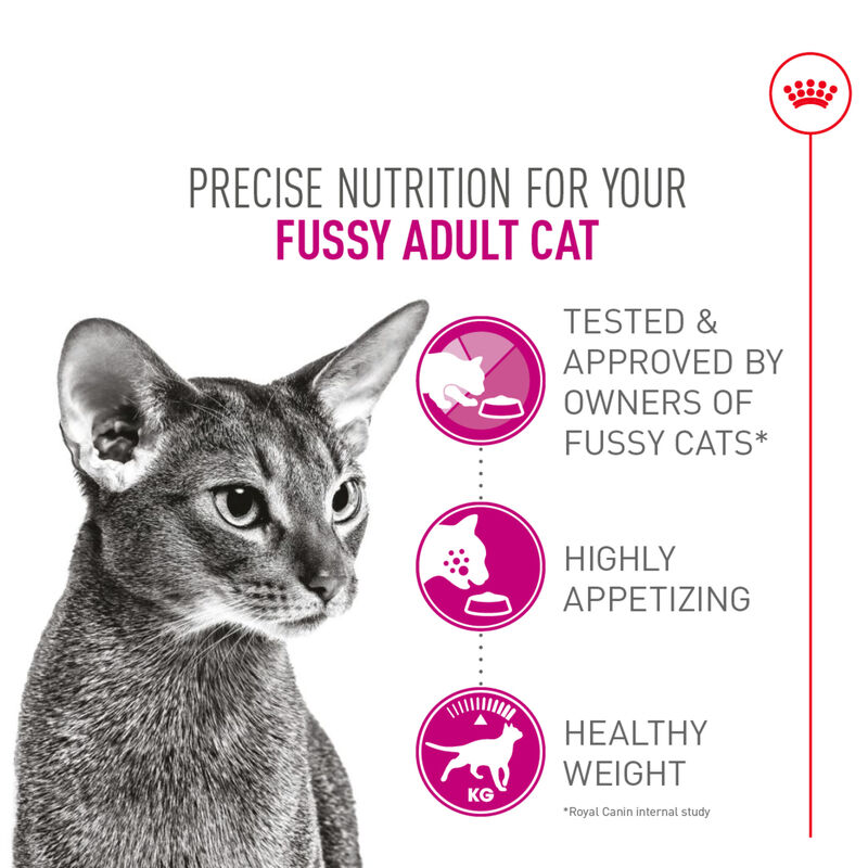 Royal Canin, Health Nutrition Fussy Appetite - Dry Cat Food image number null