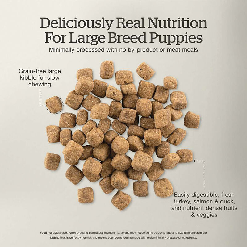 NOW FRESH, Puppy GF Large Breed - 11.3 kg - Dry Dog Food image number null