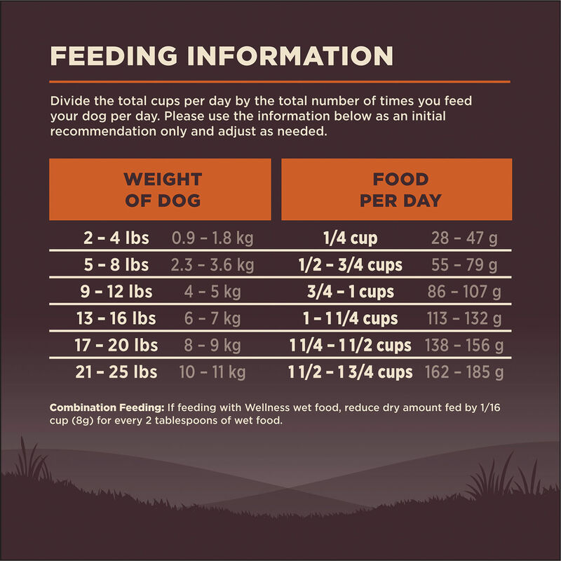 Wellness, Core, Grain Free Small Breed - Dry Dog Food image number null