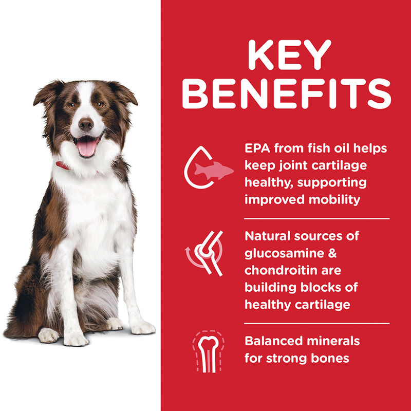 Science Diet, Adult Healthy Mobility Large Breed Chicken Meal, Rice & Barley Dry Dog Food - Dry Dog image number null