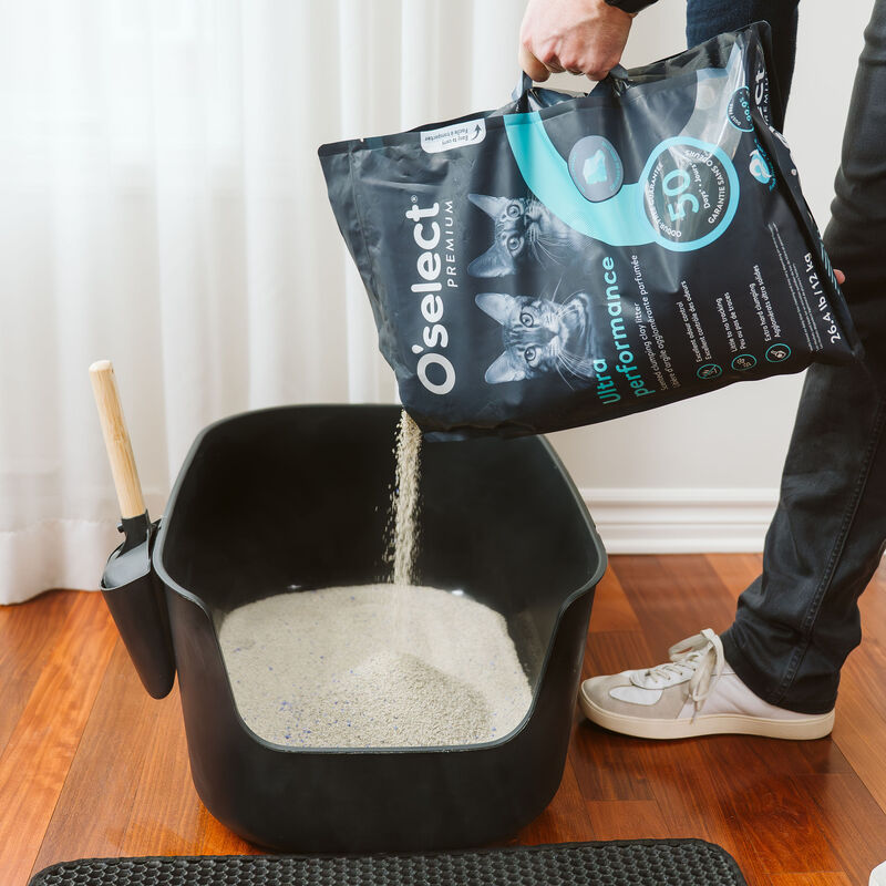 Ultra Performance Clumping Clay Litter - Fresh Breeze - 12 kg image number null