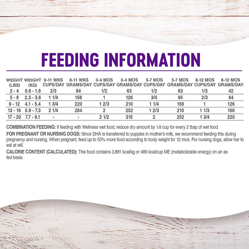 Wellness, Complete Health Small Breed, Puppy Turkey, Oatmeal & Salmon - 4 lb - Dry Dog Food image number null