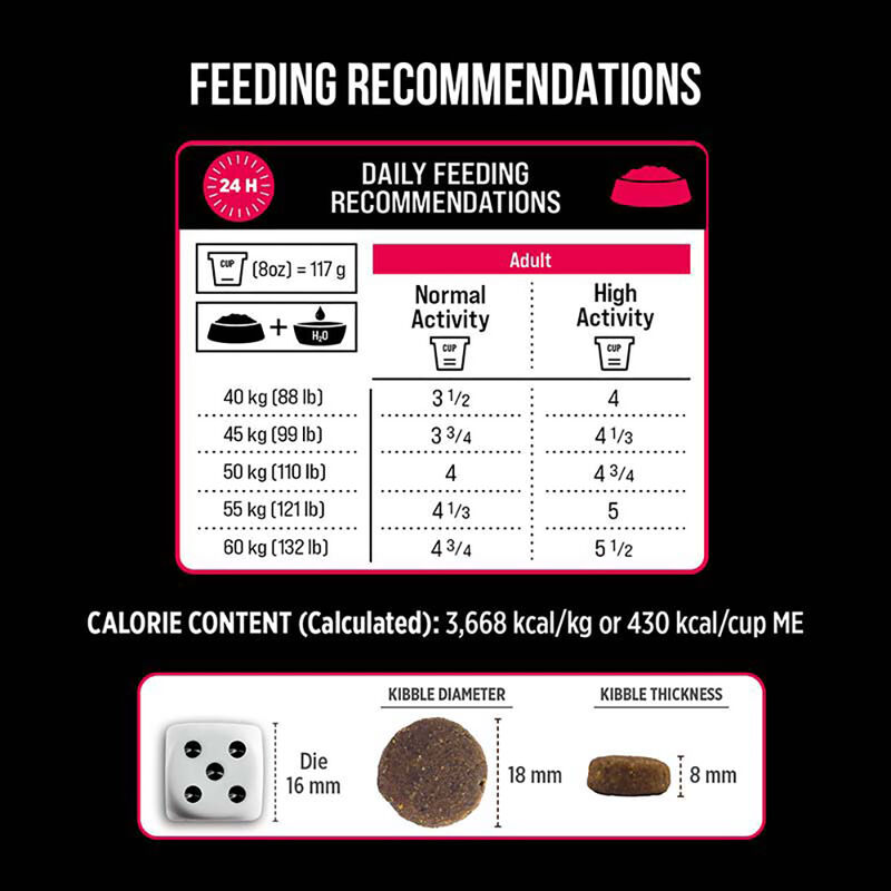 Nutrience, Adult Large Breed - SubZero Grain Free - Prairie Red - 10 kg - Dry Dog Food image number null