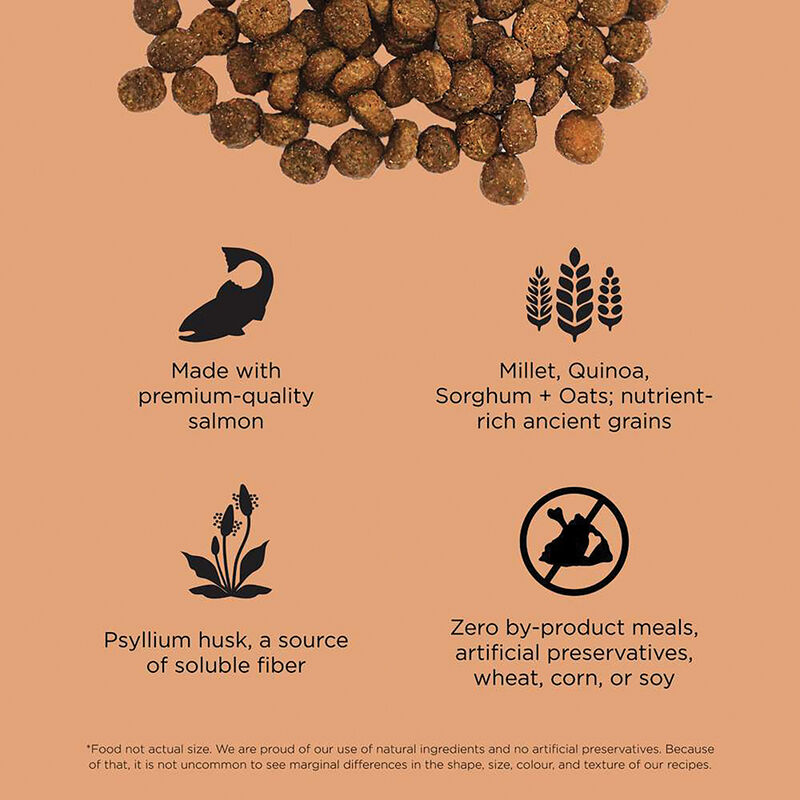 GO! SOLUTIONS, Feline Adult - Digestion & Gut Health - Salmon w/ Ancient Grains - Dry Cat Food image number null