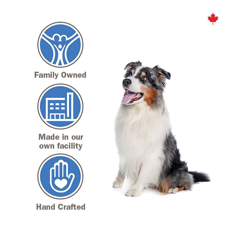 Crumps' Naturals, Pumpkin Spice Plaque Buster - 10pk - Dog Treat image number null