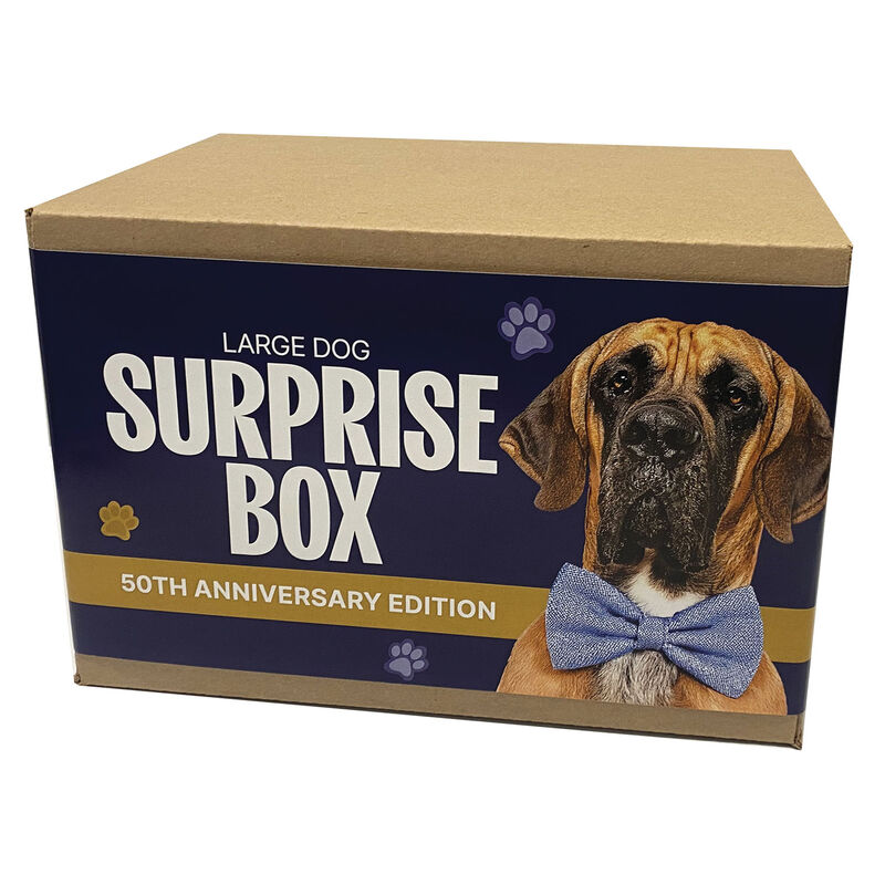Surprise Box - Dog - Large image number null