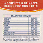 Natural Balance, Limited Ingredient Dry Cat Formula, Green Pea & Duck - Dry Cat Food image number null