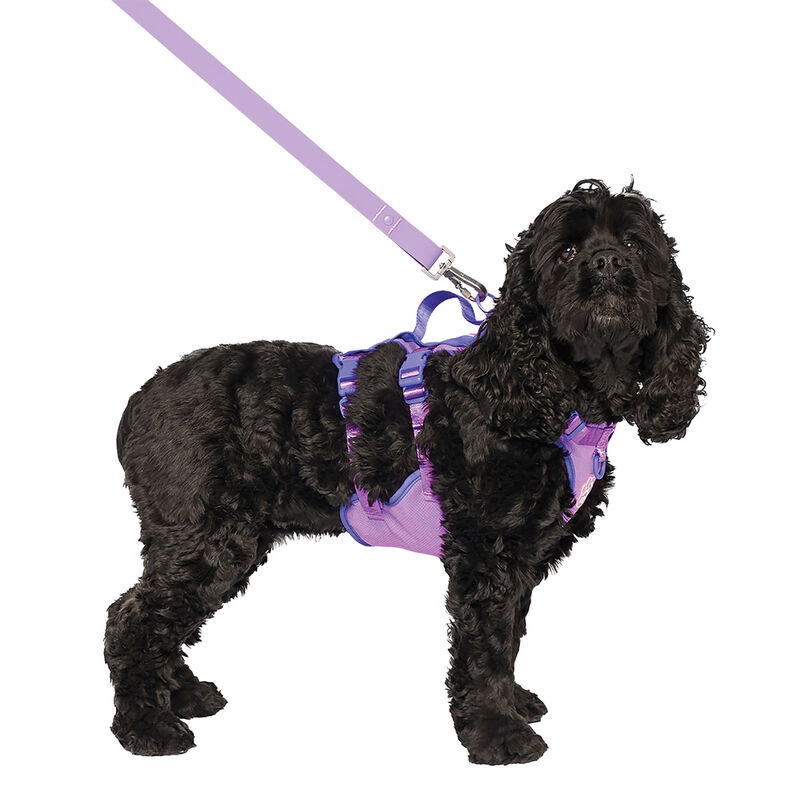 Canada Pooch, Max Chill Cooling Harness Purple image number null