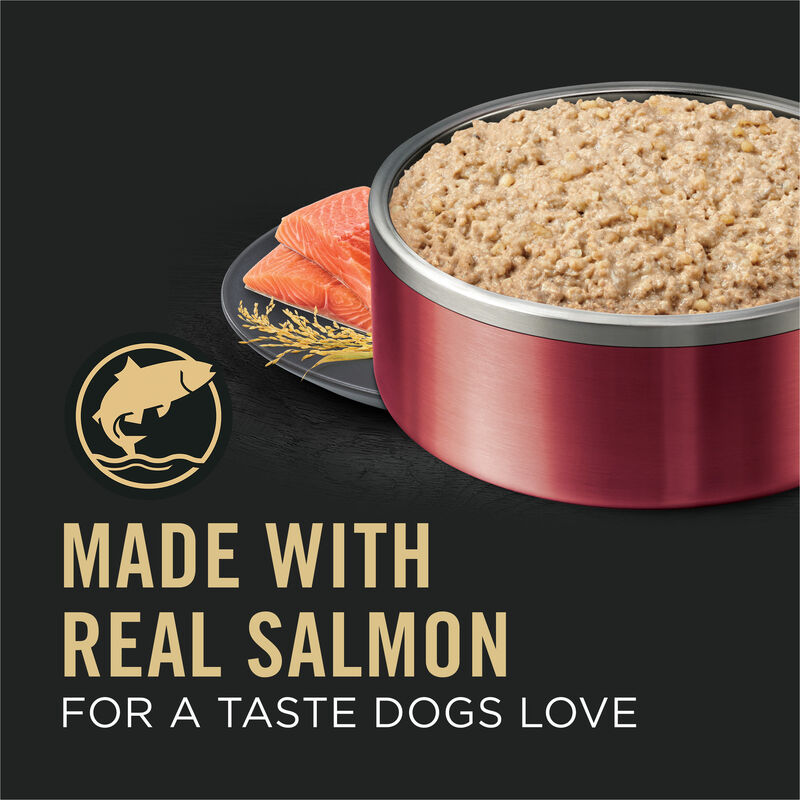Pro Plan, Adult Sensitive Skin & Stomach - Salomn & Rice - 385 g - Wet Dog Food image number null