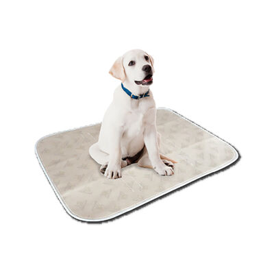 Pooch Pad, PoochPad - Medium - Beige - 20x27"