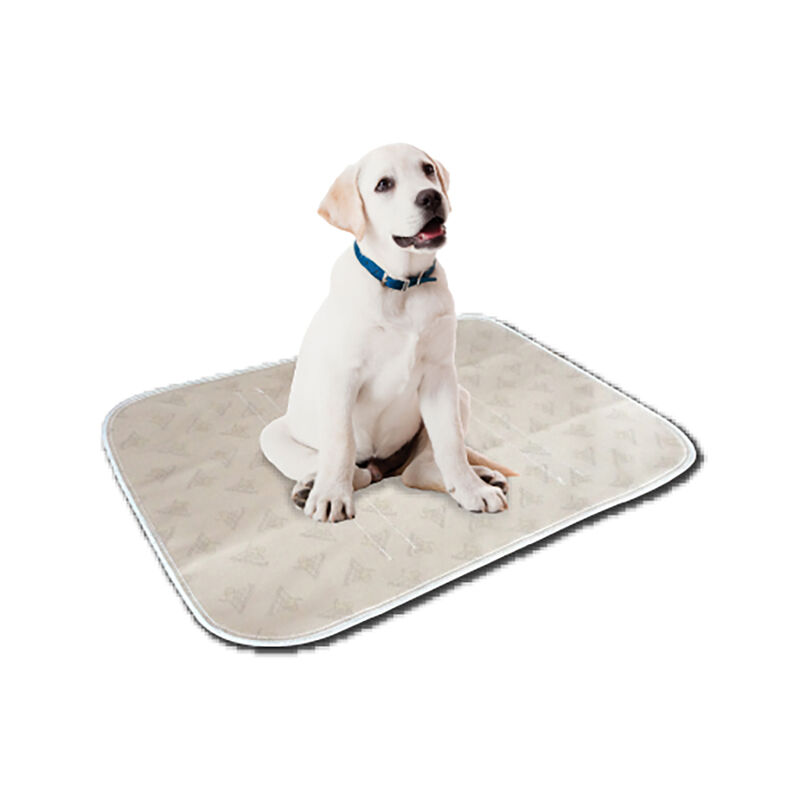 Pooch Pad, PoochPad - Medium - Beige - 20x27" image number null
