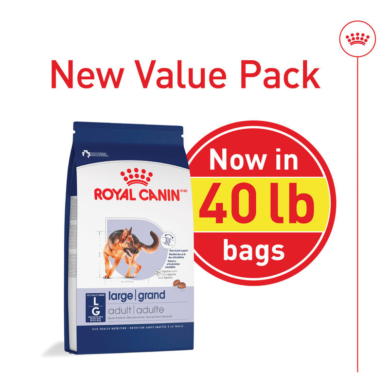 Royal Canin, Size Health Nutrition Large Adult Dog 30LBS - Dry Dog Food image number null