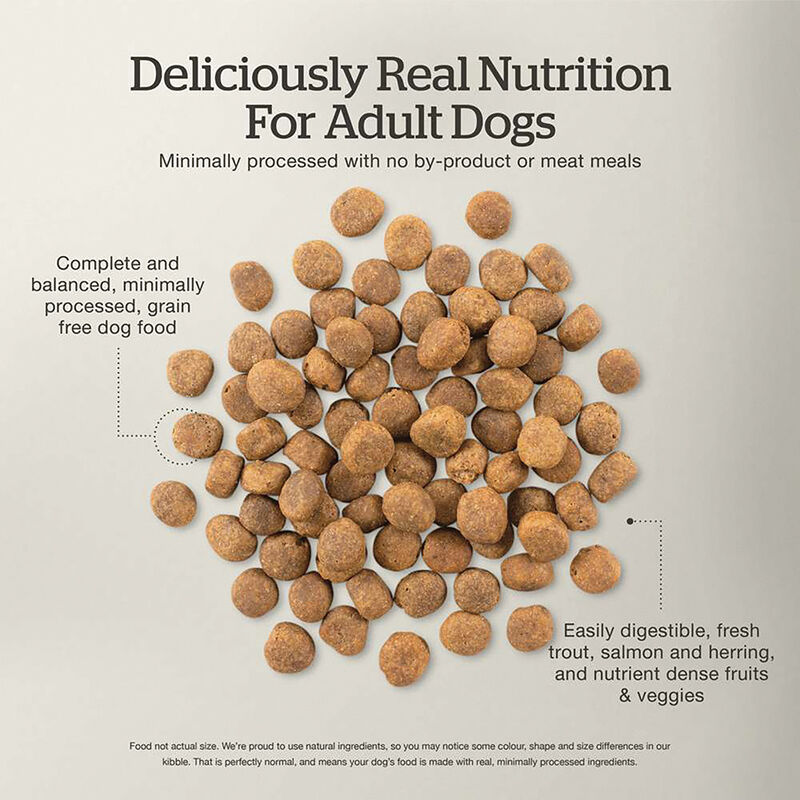 NOW FRESH, Adult GF Fish - 9.98 kg - Dry Dog Food image number null
