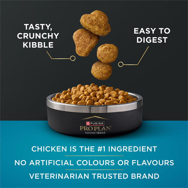 Pro Plan, AdvantEDGE - Digestive Support & Salmon - Dry Cat Food image number null