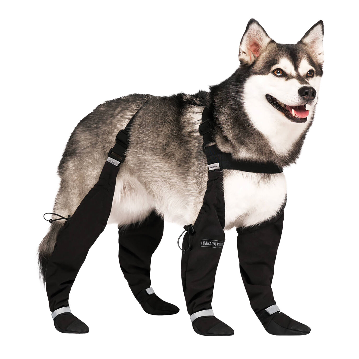 Canada Pooch, Suspender Boots - Black - Long - Ren's Pets