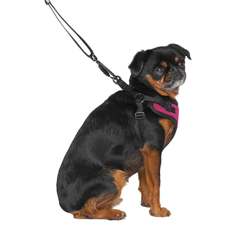 Canada Pooch, Easy-On Step-In Harness Plum image number null
