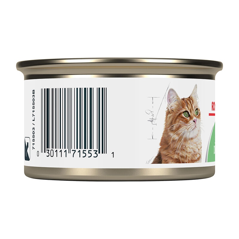 Royal Canin, Feline Care Nutrition Digest Sensitive Thin Slices In Gravy - Wet Cat Food image number null