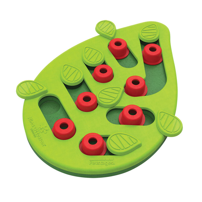 PetStages, Puzzle & Play Buggin Out - Green image number null