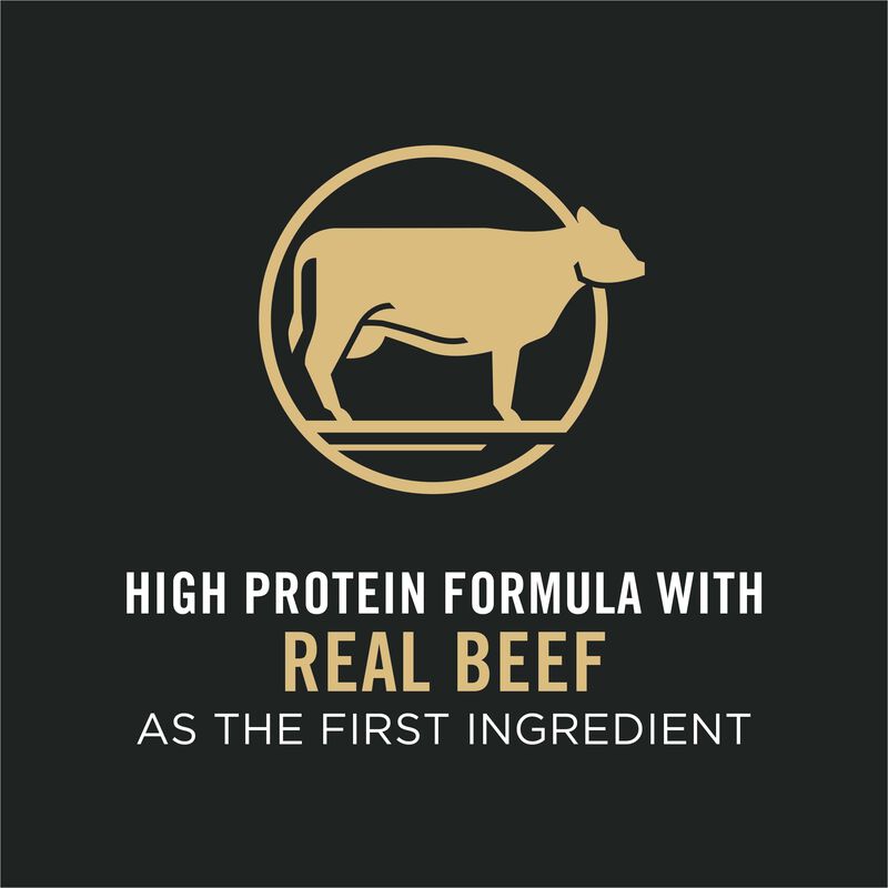 Purina Pro Plan Complete Essentials Adult, Shredded Blend, Beef & Rice Dry Dog Food 15.9kg image number null