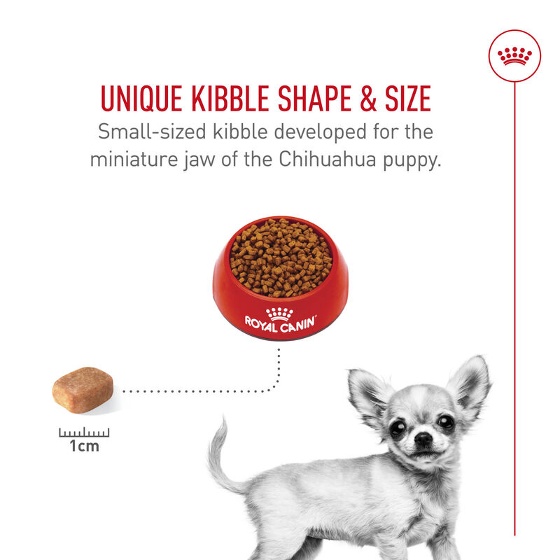 Royal Canin, Breed Health Nutrition Chihuahua Puppy - Dry Dog Food image number null