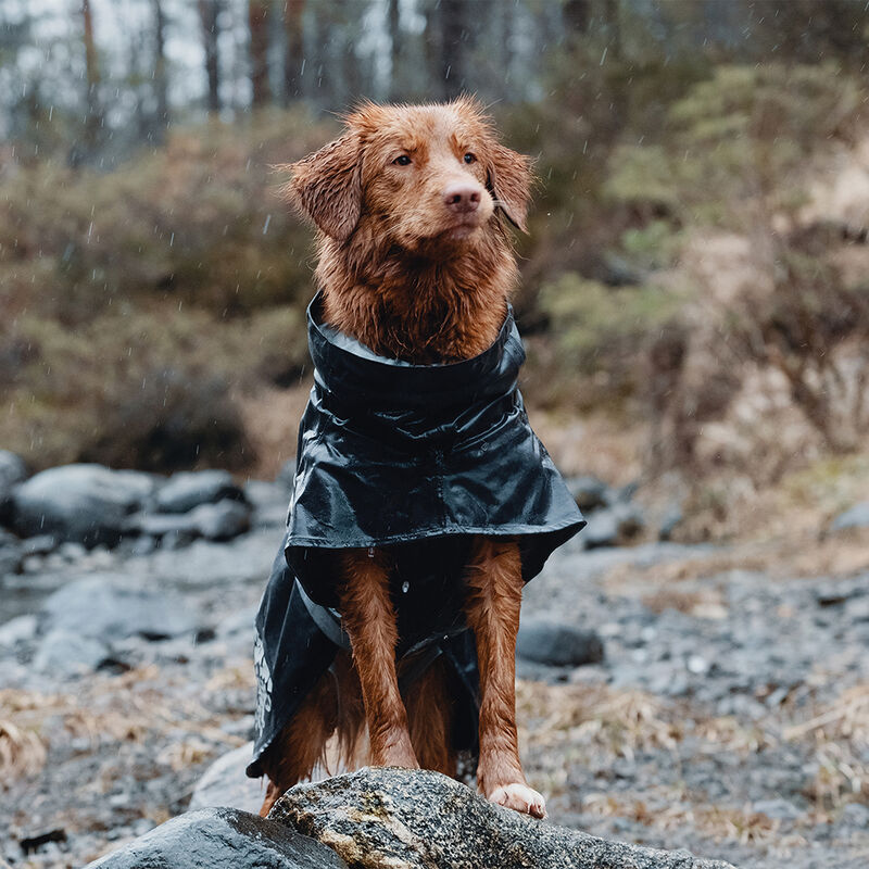 Hurtta, Monsoon Coat - Granite image number null