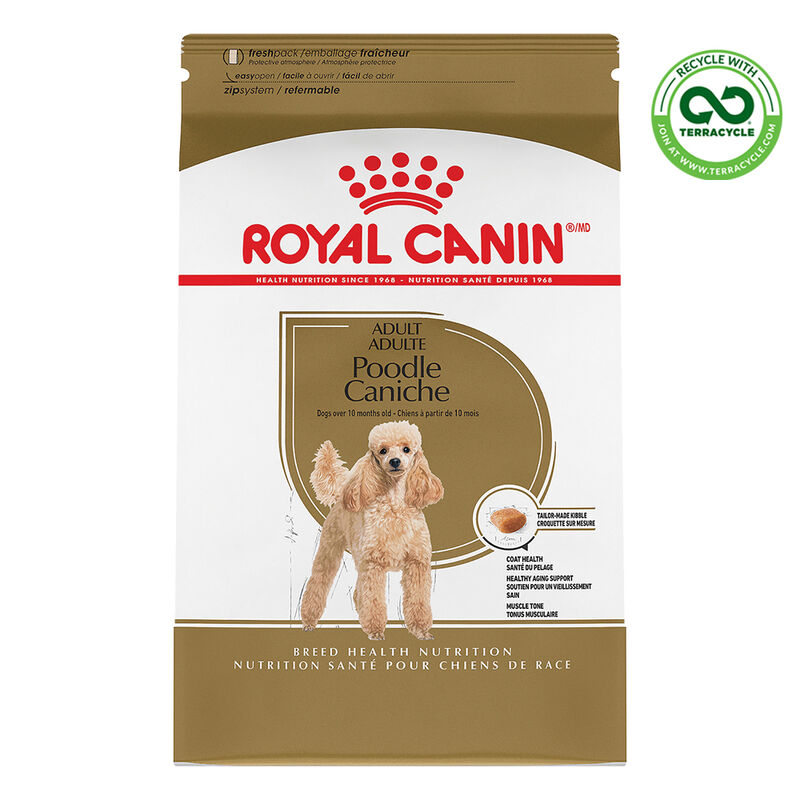 Royal Canin, Breed Health Nutrition Poodle Adult - Dry Dog Food image number null