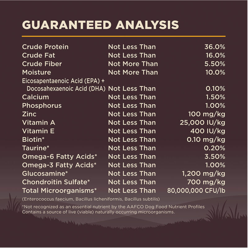 Wellness, Core, Grain Free Puppy - Dry Dog Food image number null