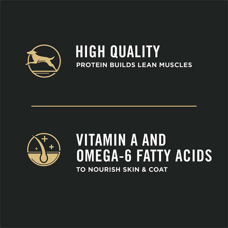 Purina Pro Plan Development Under One Year Puppy, Chicken & Rice Dry Dog Food Formula image number null