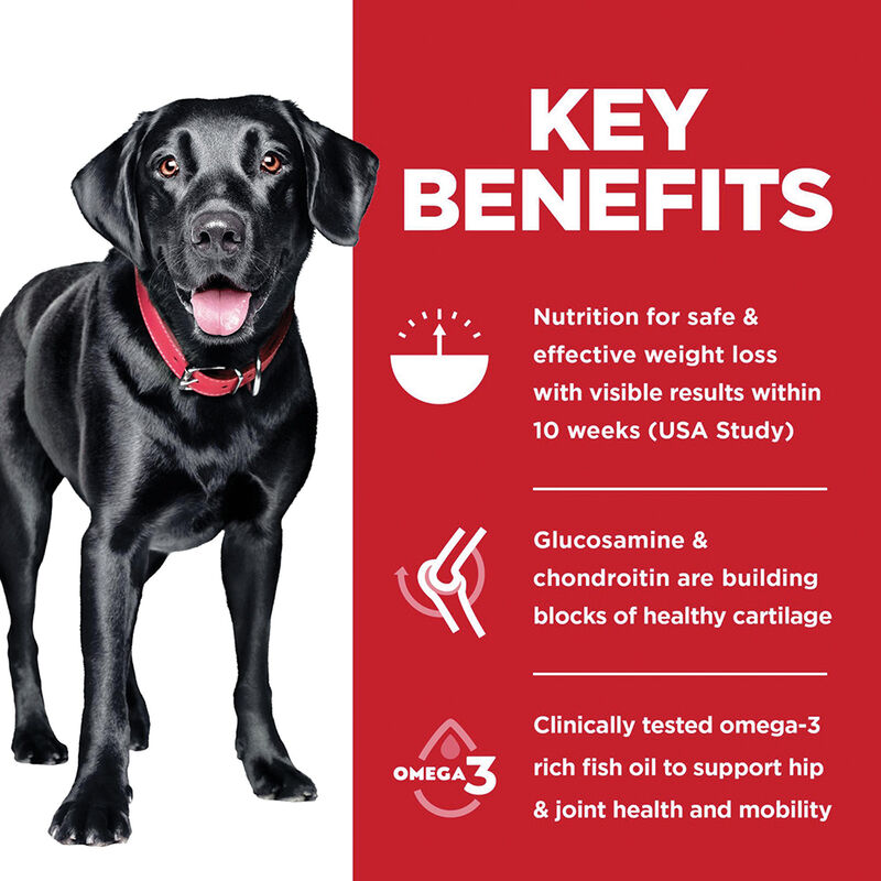Science Diet, Adult - Perfect Weight+Joint Large Breed - 11.34 kg - Dry Dog Food image number null